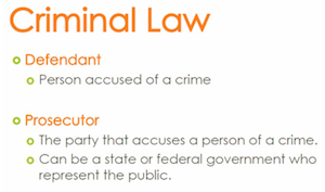 Criminal Law, Defendant, Prosecutor